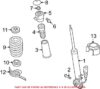 Coil Spring – Rear