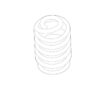 Coil Spring – Rear