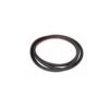 Door Seal – Rear Driver Side Outer