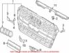 Genuine VW/Audi License Plate Bracket – Front