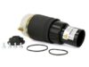 Porsche Air Spring – Front Passenger Side 95535840421