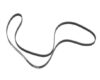 Serpentine Belt