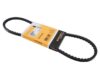 Continental Belt 10 X 825 - AVX10X825