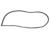 Door Seal – Driver Side