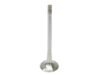 TRW Exhaust Valve 331126