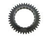 Rauch & Spiegel Gear Teeth 741 302 242 00