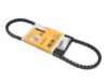 Porsche Accessory Drive Belt (10×725) 99919209750