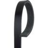 Porsche Accessory Drive Belt (5K 736) 99919220450