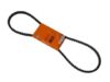 Porsche Accessory Drive Belt (13×1125) 99919230550