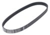Porsche Accessory Drive Belt (6K 875) 99919234750