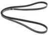 Porsche Accessory Drive Belt (6K 2285) 99919237950