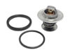 CALORSTAT Thermostat TH6273.87J