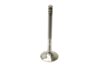 TRW Exhaust Valve 331143