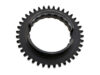 Rauch & Spiegel Gear Teeth 741 302 241 00