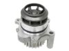 HEPU Water Pump P587