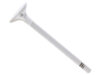 Trw Intake Valve 331151