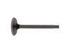FEBI BILSTEIN Intake Valve 21020