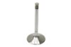 TRW Intake Valve 3070