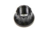 ARP 1/2-20 12pt. Nut (1) - 300-8304