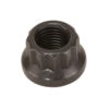 ARP 3/8-24 12pt Nut (1pk) - 300-8371