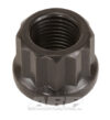 ARP 1/2-20 12pt Nut 1pk Nut - 301-8313