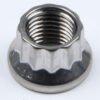 ARP S/S 12pt. Nut - 3/8-24 (1) - 400-8302