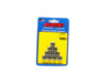 ARP 3/8-16 SS 12pt Nut Kit 10pk - 401-8341