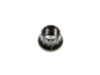 ARP 3/8-24 12pt. Nut - Black Finish - AJN12-1