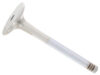 TRW Exhaust Valve 30002