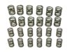 AASCO MOTORSPORTS Valve Spring Set HP109 KIT
