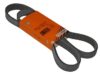 Continental Belt 7DPK X 1360 - 7DPK 1360