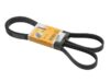 CONTINENTAL Belt 6K X 1760 6K1760