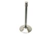 TRW Exhaust Valve 3051