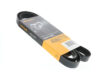 Continental Drive Belt 6 K X 1815 9 A210222400