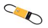 Accessory Drive Belt (Alternator)