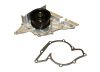Audi Engine Water Pump WPR0001 – Rein