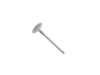 TRW Intake Valve 331116