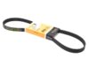 CONTINENTAL Belt 5PK X 925 5K925