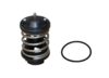 REIN AUTOMOTIVE Thermostat CTN0025