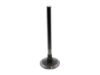 TRW Intake Valve 33014