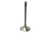 TRW Exhaust Valve 3064