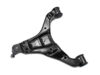 Lemfoerder Control Arm - 3698701