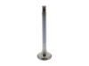 TRW Exhaust Valve 33012