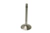 TRW Intake Valve 3063