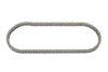 IWIS Timing Chain 50039685