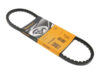 CONTINENTAL Belt 10 X 700 10X700