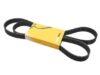 Continental Belt 6K X 1613 - 6PK 1613
