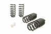 EIBACH PRO-KIT Jeep SRT (Set of 4 Springs) - E10-51-019-01-22