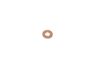 Bosch Gasket Ring - F-00V-C17-503