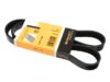 CONTINENTAL Belt 6K X 1100 6K1100